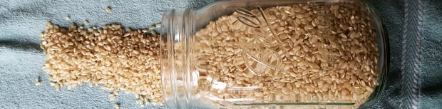 vegan pantry grains