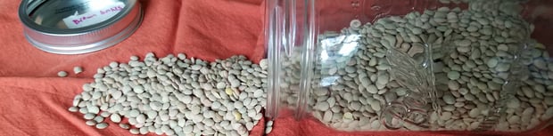 vegan pantry beans