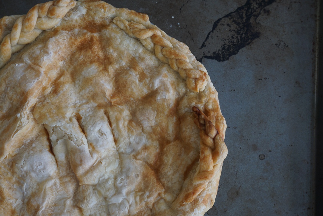 vegan kidney bean savory pie