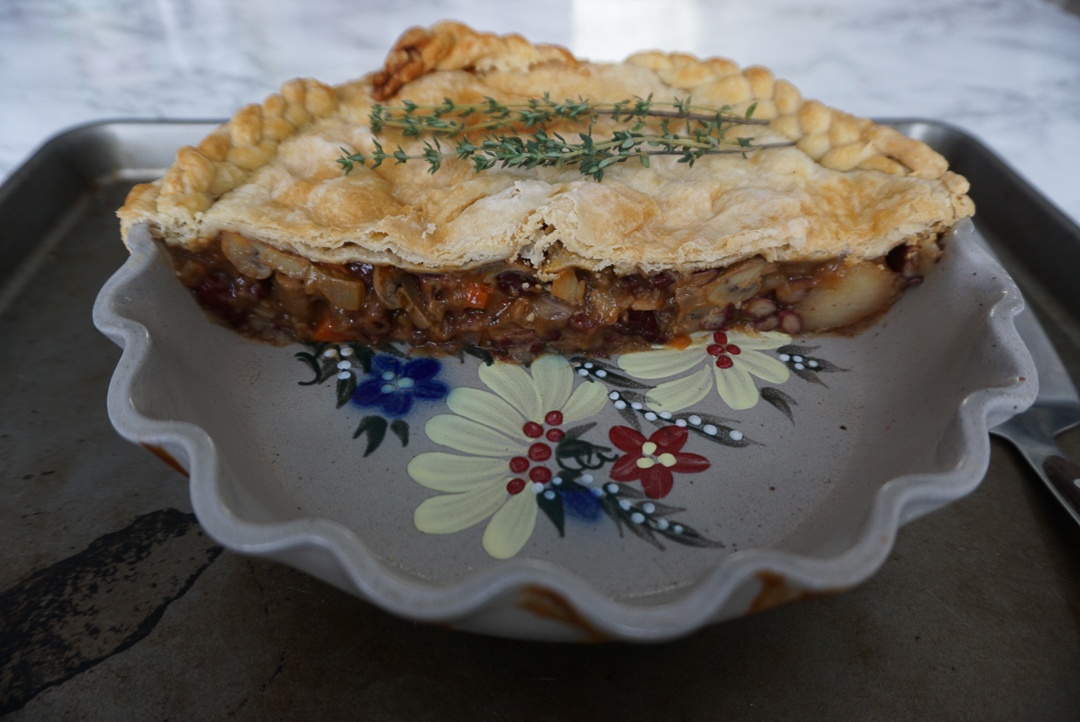 half a kidney bean pie in hand painted pie dish